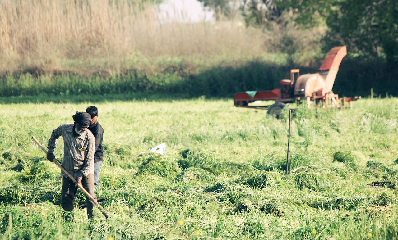 Two farmers manually cultivating a lush green field with a tractor in the background.