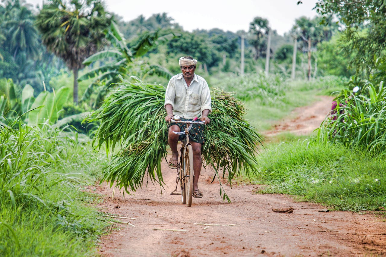 A farmer carries crops on a bicycle down a dirt road surrounded by lush greenery.
